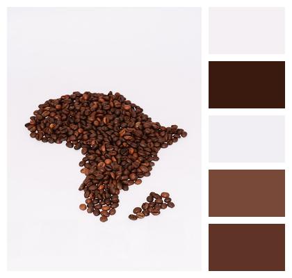 Drink Coffee Coffee Beans Image